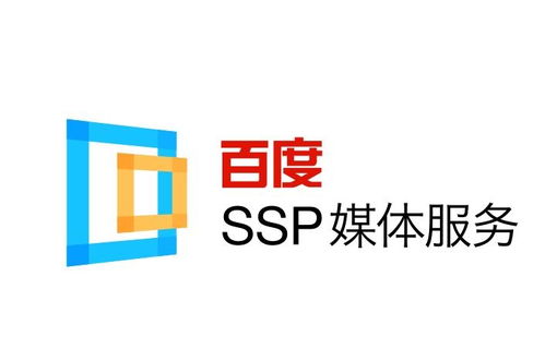 蜘蛛池的建造方法