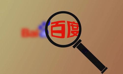 蜘蛛池对网站的影响